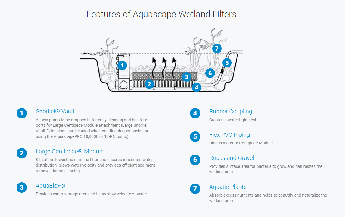 Wetland Filter System – Aquascape Knowledge Base