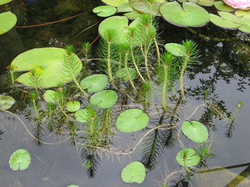 Picture8.jpg