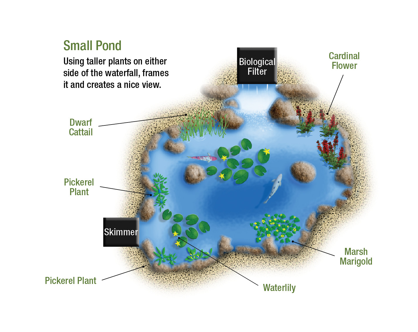 Toolkit Pond Illustration_Small.jpg