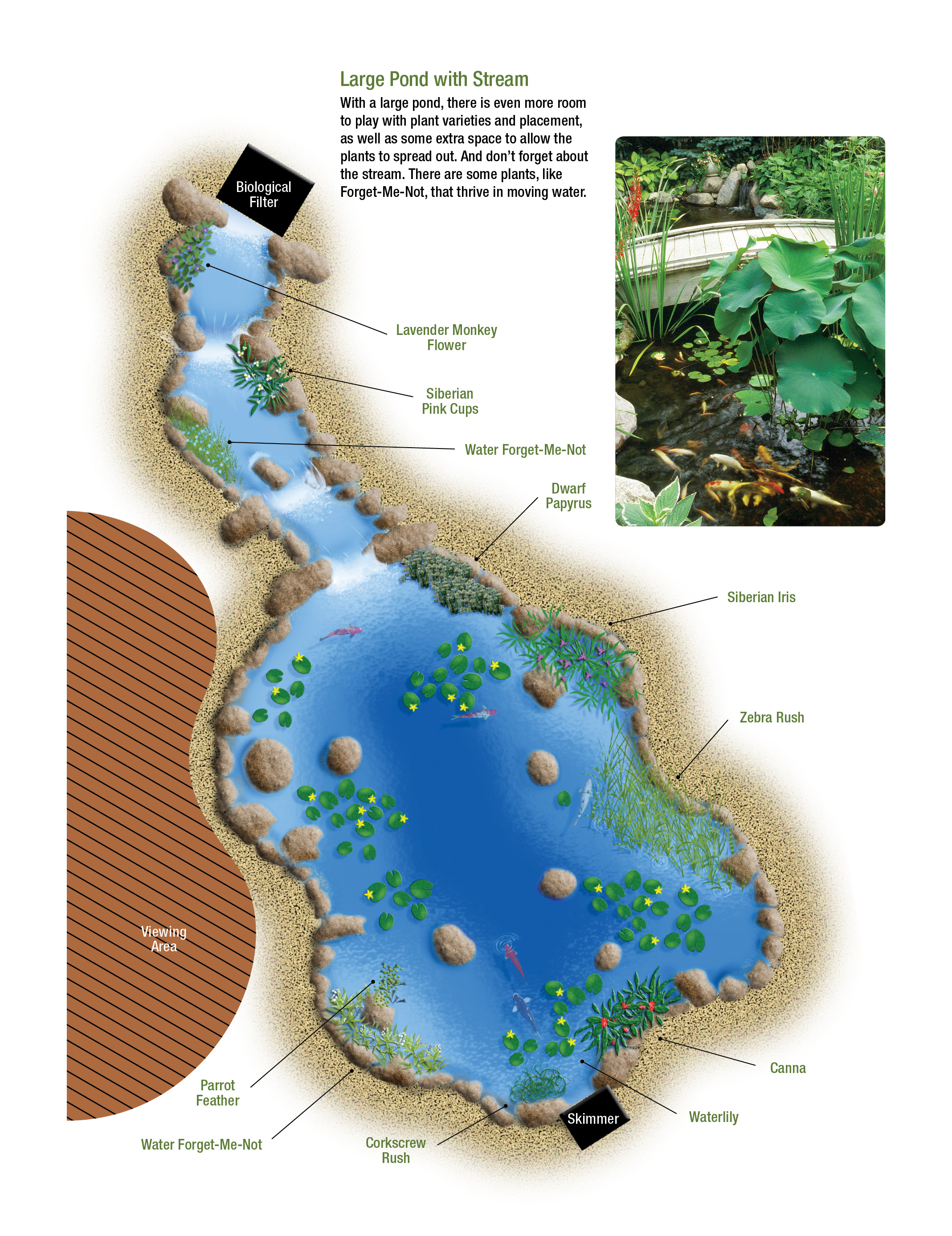 Toolkit Pond Illustration_Large.jpg