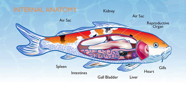 Picture20.jpg